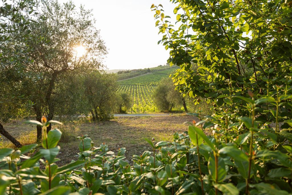 Ponte A Bozzone Tenuta Di Monaciano מראה חיצוני תמונה