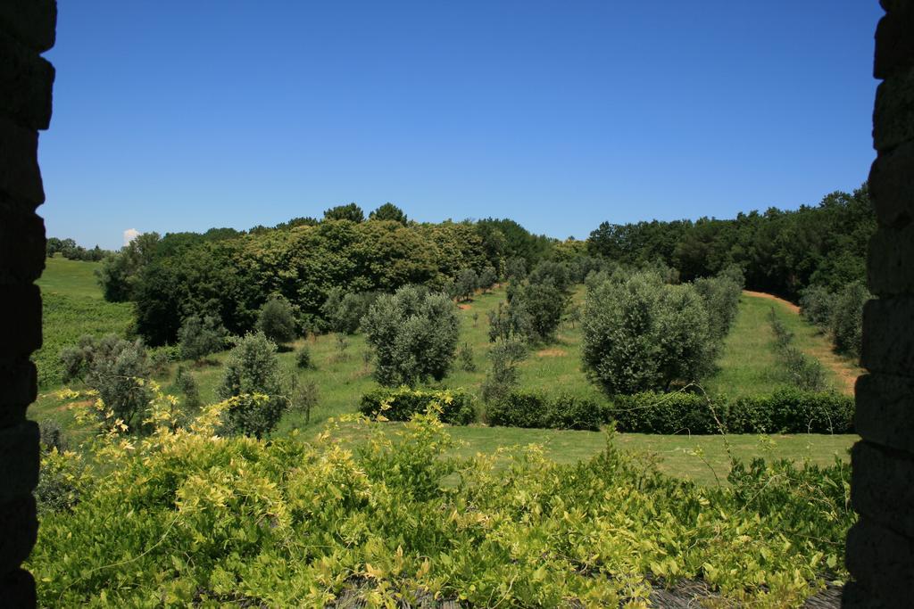 Ponte A Bozzone Tenuta Di Monaciano חדר תמונה