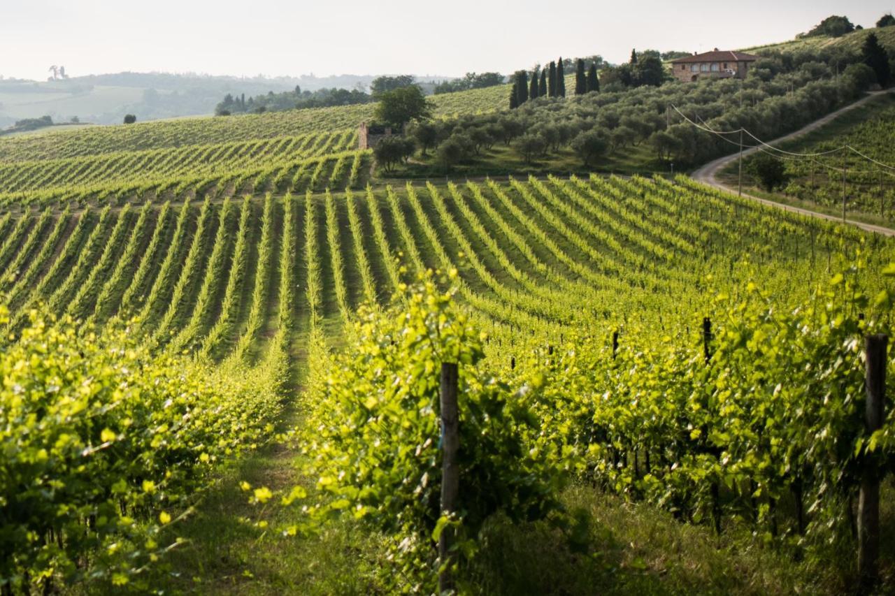 Ponte A Bozzone Tenuta Di Monaciano מראה חיצוני תמונה